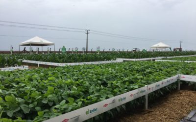 Agro-Sol participa de evento para conhecer detalhes do sistema Enlist