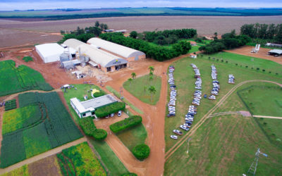 Um Dia de Sol reúne mais de 250 pessoas em Campo Verde