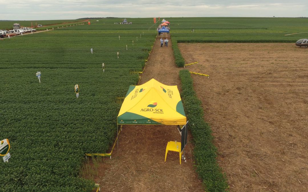 Agro-Sol apresenta portfólio durante dia de campo da Agro Semear em Primavera do Leste
