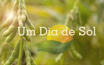 Agro-Sol Sementes realiza dia de campo para apresentar novidades para a safra 2017/2018