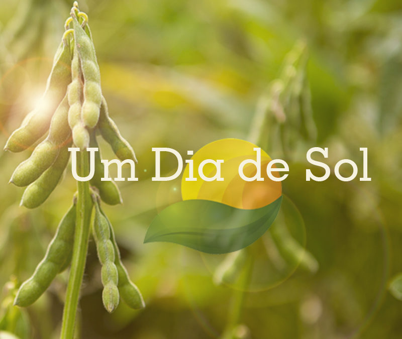 Agro-Sol Sementes realiza dia de campo para apresentar novidades para a safra 2017/2018