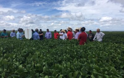Agro-Sol Sementes realiza 2ª Tour de Lavoura  no Nortão de MT