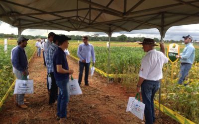 IV Encontro de Variedades e Tecnologias Fazenda Santa Rita apresenta novidades na região do Xingu