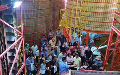 Alunos da Unic realizam visita técnica à Agro-Sol