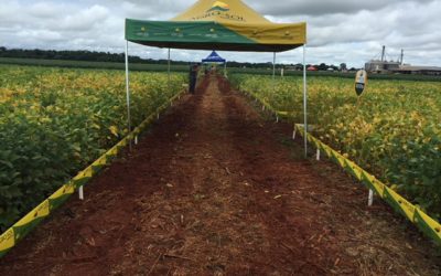 Agro-Sol expõe cultivares em Porto Alegre do Norte