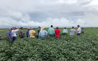 Agro-Sol reúne produtores em Tour de Campo em Santo Antônio do Leste