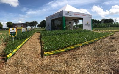 Agro-Sol apresenta soluções inovadoras durante a 11ª Parecis SuperAgro