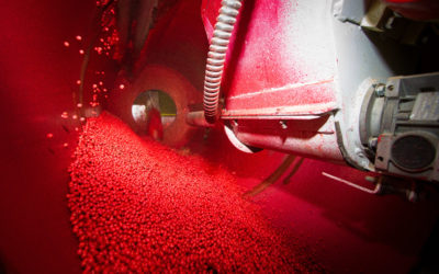 Tratamento de Sementes Industrial: alta tecnologia a favor de melhores resultados