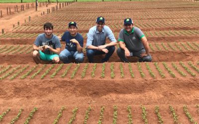 Agro-Sol recebe visita de presidente de uma das maiores tradings da China