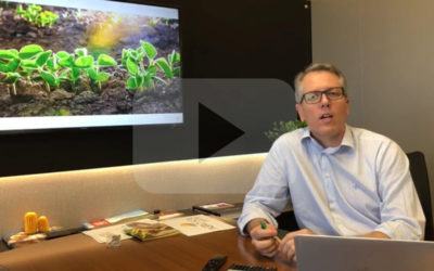 Trabalho administrativo é base de sustentação para uma boa produção