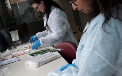 Seedcare Institute traz novidades em workshop voltado a sementes tratadas