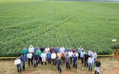 Tour de Campo promove intercâmbio de informações e leva novidades para Rodovia da Soja