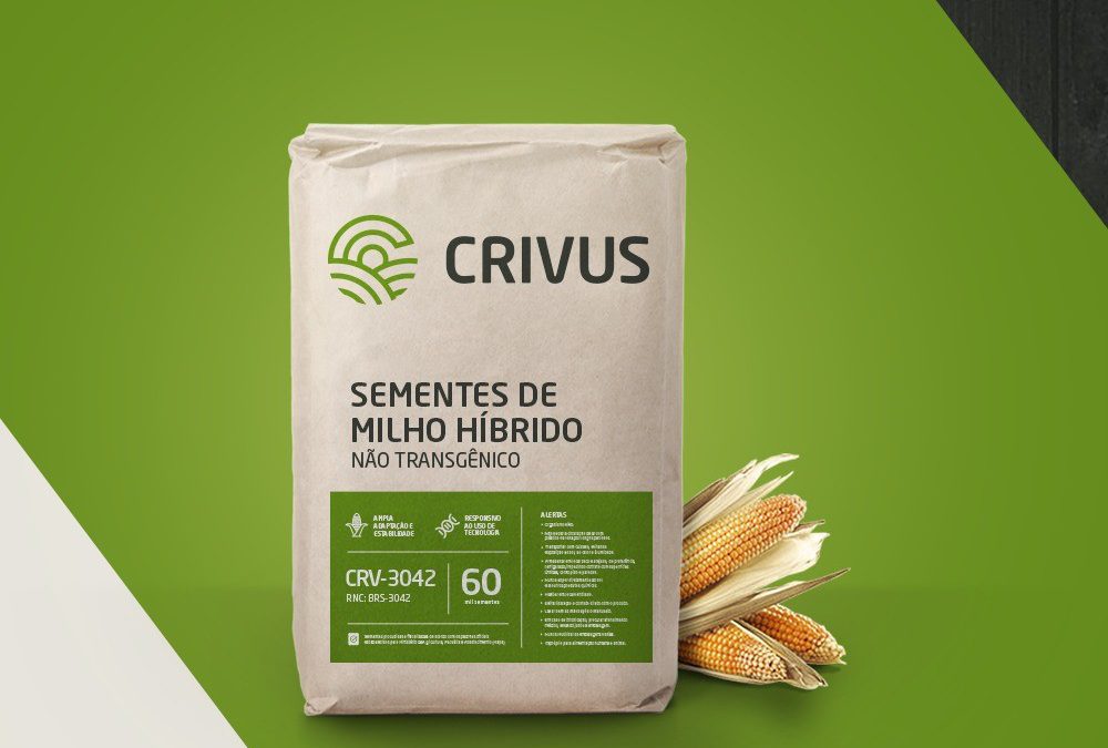 Agro-Sol entra no mercado de sementes de milho com a CRIVUS