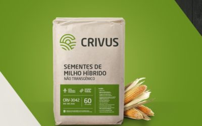 Agro-Sol entra no mercado de sementes de milho com a CRIVUS