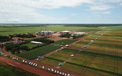 Dia de Campo em Porto Alegre do Norte reúne mais de 700 pessoas