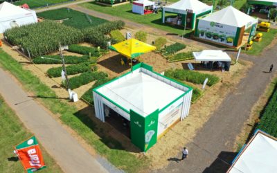 Temporada de feiras: prazeroso contato com o agricultor e público em geral