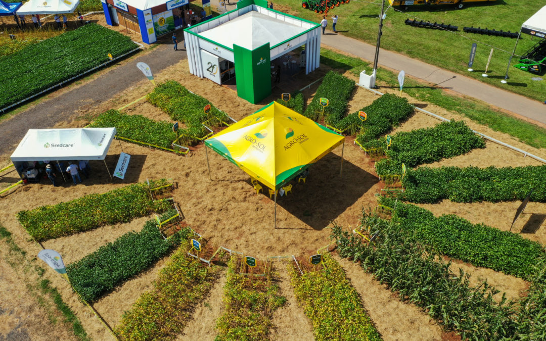 Inovação em área demonstrativa é destaque da Agro-Sol durante Show Safra