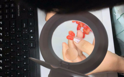 Controle de qualidade é o “fiel da balança” na produção de sementes