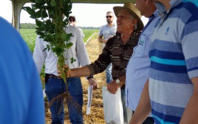 2º Tour de Campo Agro-Sol em Sorriso-MT lança premiação a produtores