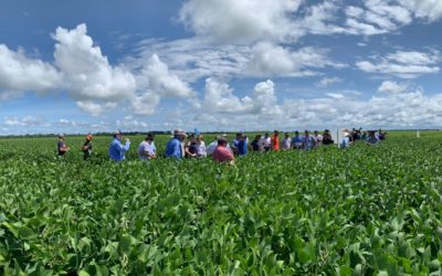 Tour de Lavoura realiza 5ª edição com homenagens a produtores de Feliz Natal