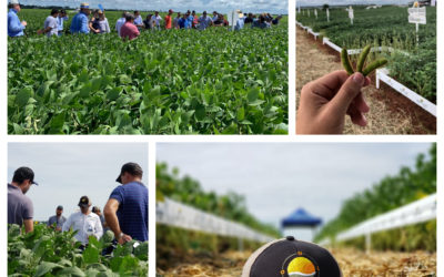 Agro-Sol realiza Tours de Campo e apresenta agenda de eventos