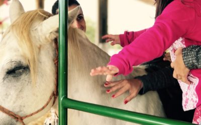 Agro-Sol apoia projeto de Equoterapia em Campo Verde