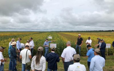 Agro-Sol reúne produtores rurais na Bahia