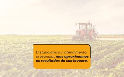 Time comercial Agro-Sol: negócios 100% online