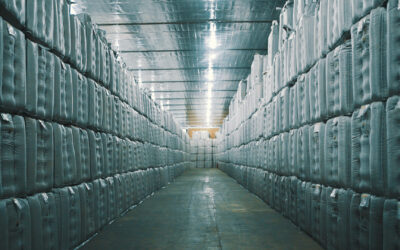 O armazenamento da semente de soja interfere diretamente na sua qualidade e produtividade.