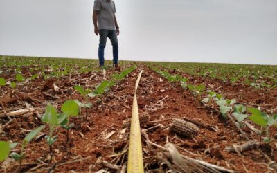 Foco no Campo: mais informação a serviço da produtividade