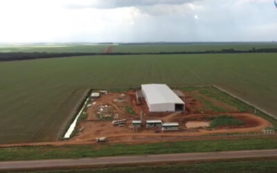 Seed Place 163: a nova unidade da Agro-Sol às margens da Rodovia da Soja