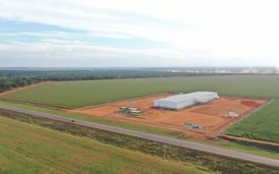 Primeiro centro mato-grossense de tratamento e distribuição de sementes é inaugurado no Norte de MT
