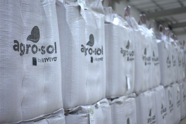 Produtores rurais têm condições especiais na compra de sementes em nova campanha da Agro-Sol