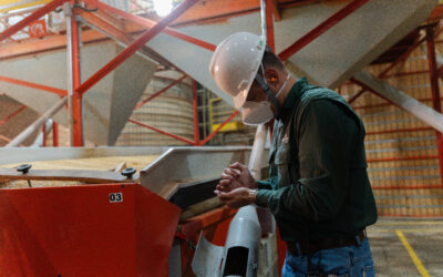 Safra de sementes ganha força com o beneficiamento de soja na indústria